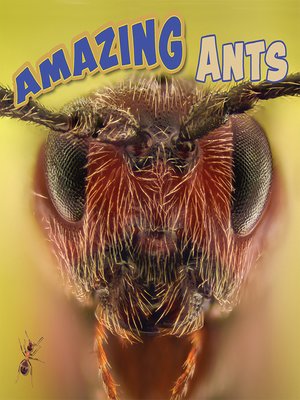cover image of Amazing Ants